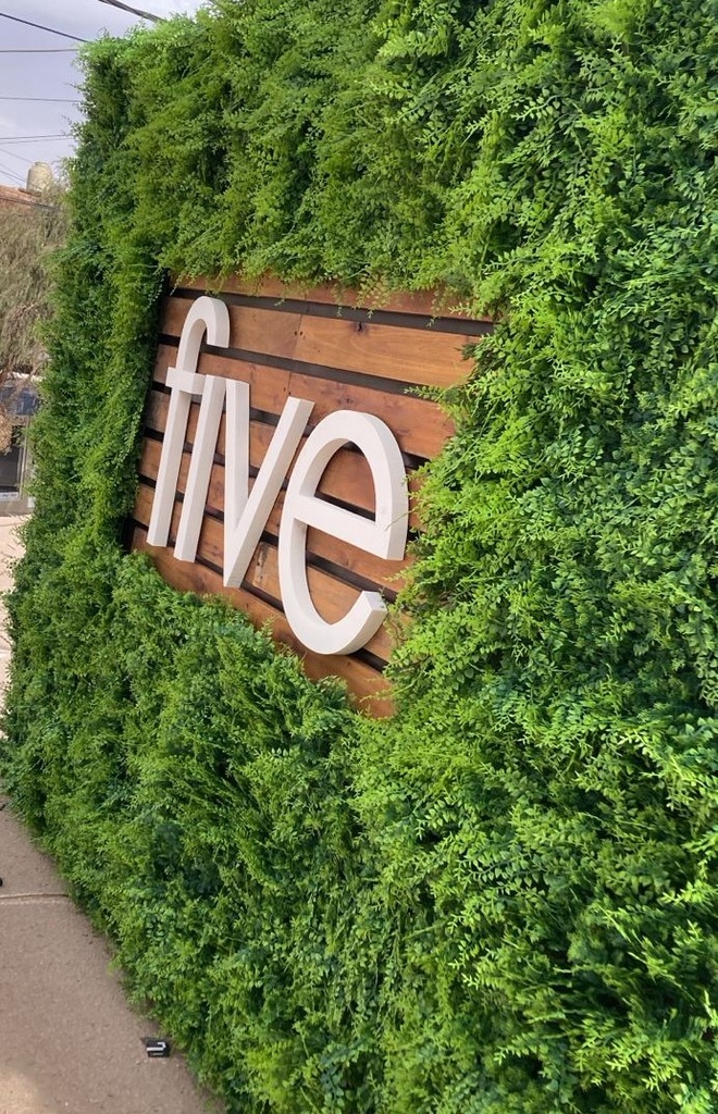 Corpóreos Polifan x M2